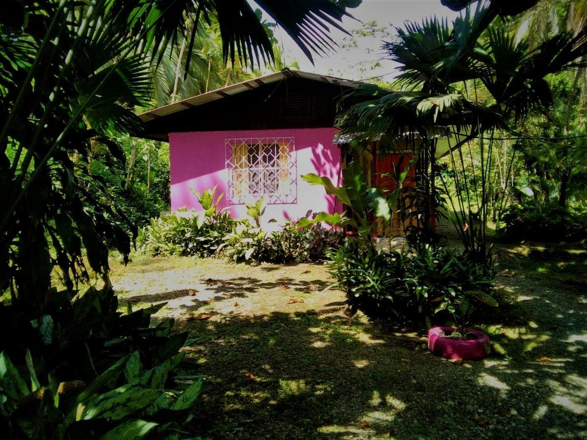 Cabinas Algebra カウイータ エクステリア 写真