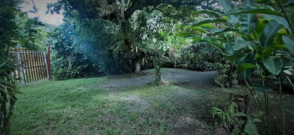 Cabinas Algebra カウイータ エクステリア 写真